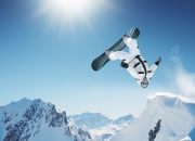 PG平台-赛道上的冰与火，上海队爆冷骑士，F1年度争冠焦点战惊现黑马