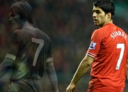 PG电子APP链接-当明尼苏达的狼嚎遇见凤凰城的日出，布克在华盛顿的救赎之夜