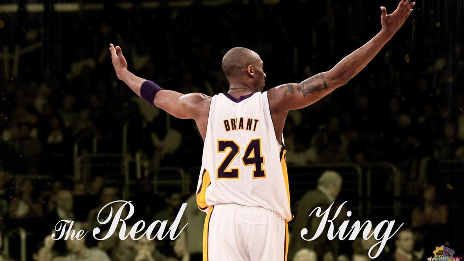 绿茵场上的唯一性，伊朗绝境重生与若日尼奥的德甲封神时刻